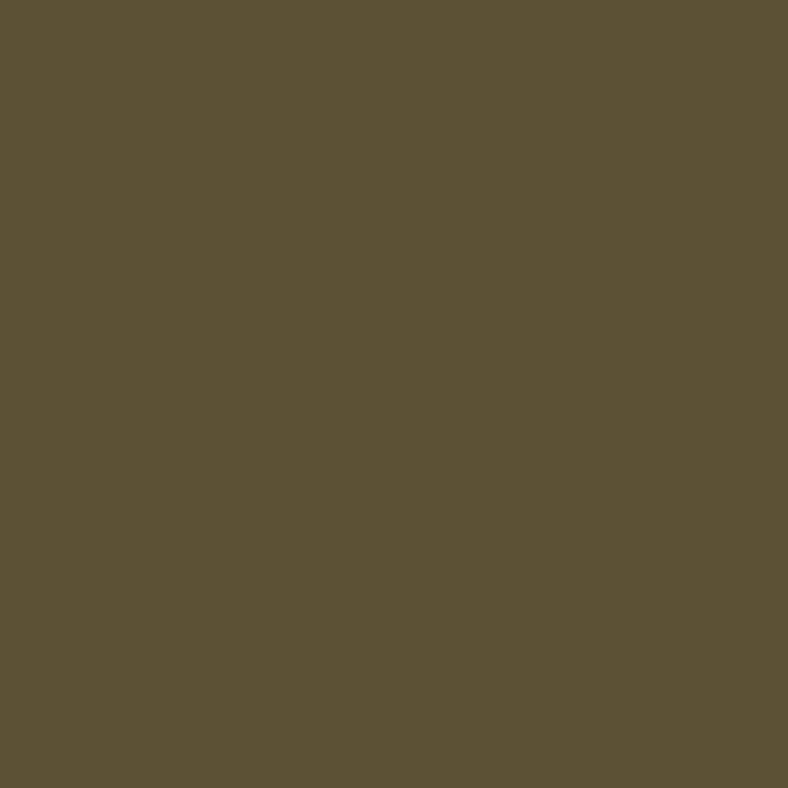 WASSERSTOFF 43 418 Badeanzug Sophisticated uni season 2025 - verschiedene Farben (80% Polyamid, 20% Elasthan) 42/XL / tabacco