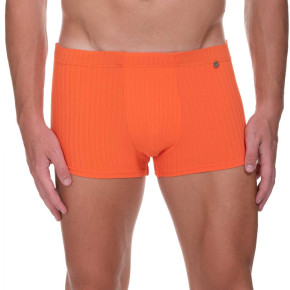 bruno banani Dive Hipshort uni orange (96% Polyamid, 4% Elasthan) S