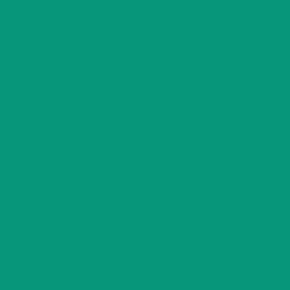 WASSERSTOFF 41 422 Badeanzug True Love - verschiedene Farben (80% Polyamid, 20% Elasthan) 40/L / jade