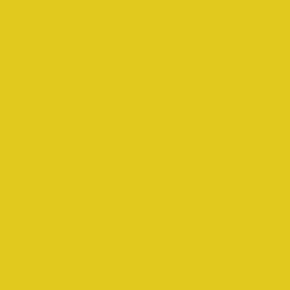 WASSERSTOFF 43 418 Badeanzug Sophisticated uni - verschiedene Farben (80% Polyamid, 20% Elasthan) 42/XL / pompelmo