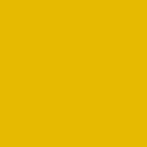 WASSERSTOFF 41 422 Badeanzug True Love season 2026 - verschiedene Farben (80% Polyamid, 20% Elasthan) 38/M / sunflower