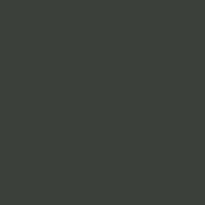WASSERSTOFF 43 418 Badeanzug Sophisticated uni - verschiedene Farben (80% Polyamid, 20% Elasthan) 42/XL / titanum